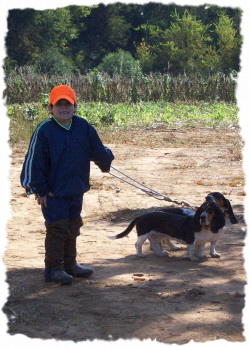 Alabama - Tennessee Basset Hound Puppies